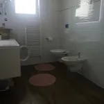 Apartment Peloza