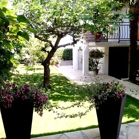 Apartment Peloza Porec